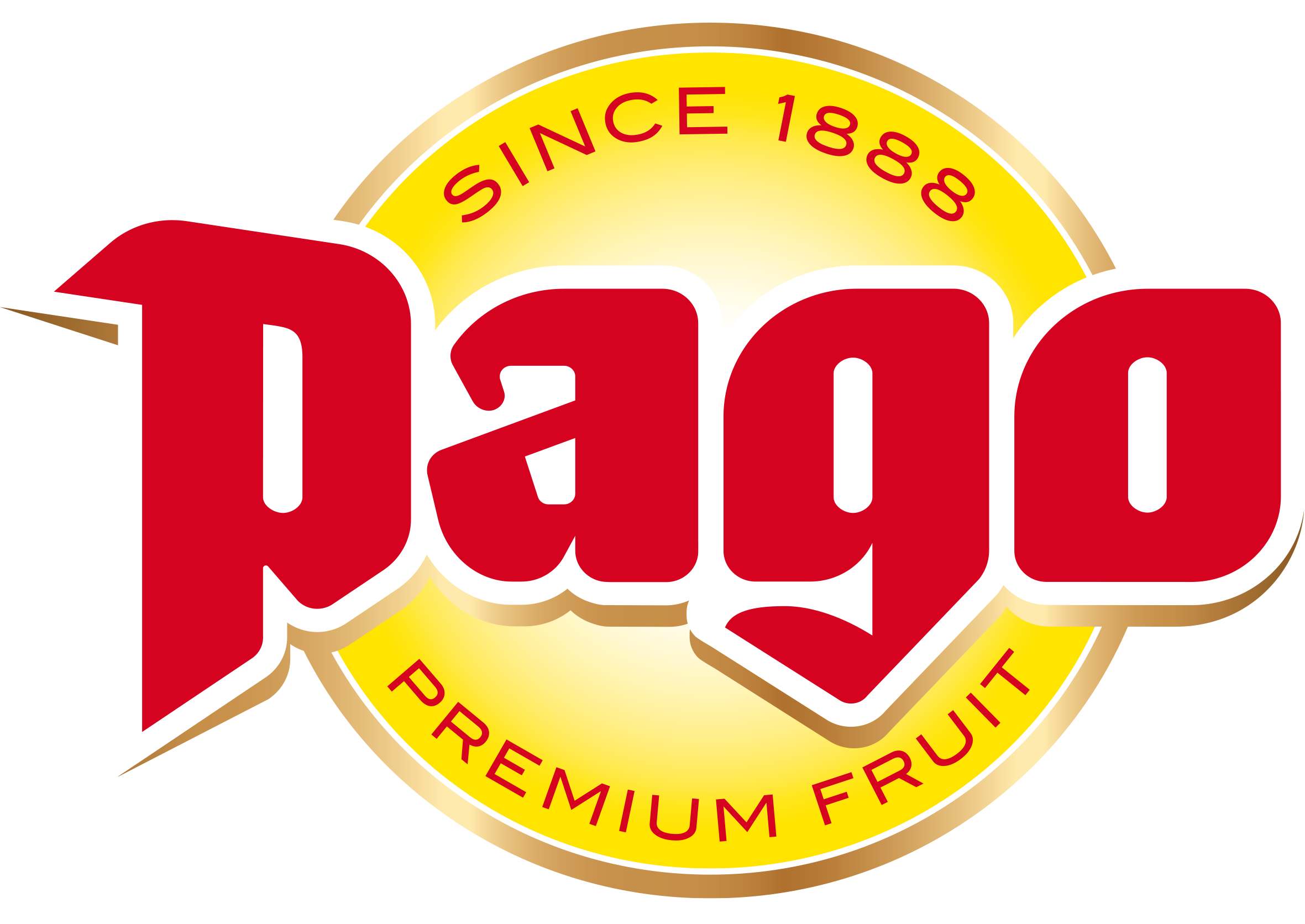 Pago logo RGB